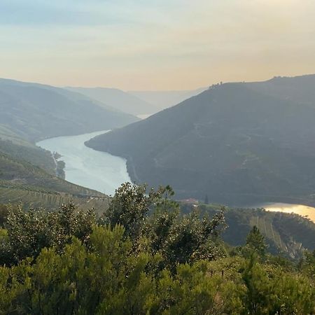 Quinta Da Casa Cimeira, Guest House, Wines & Food ヴァレンサ・ド・ドウロ エクステリア 写真