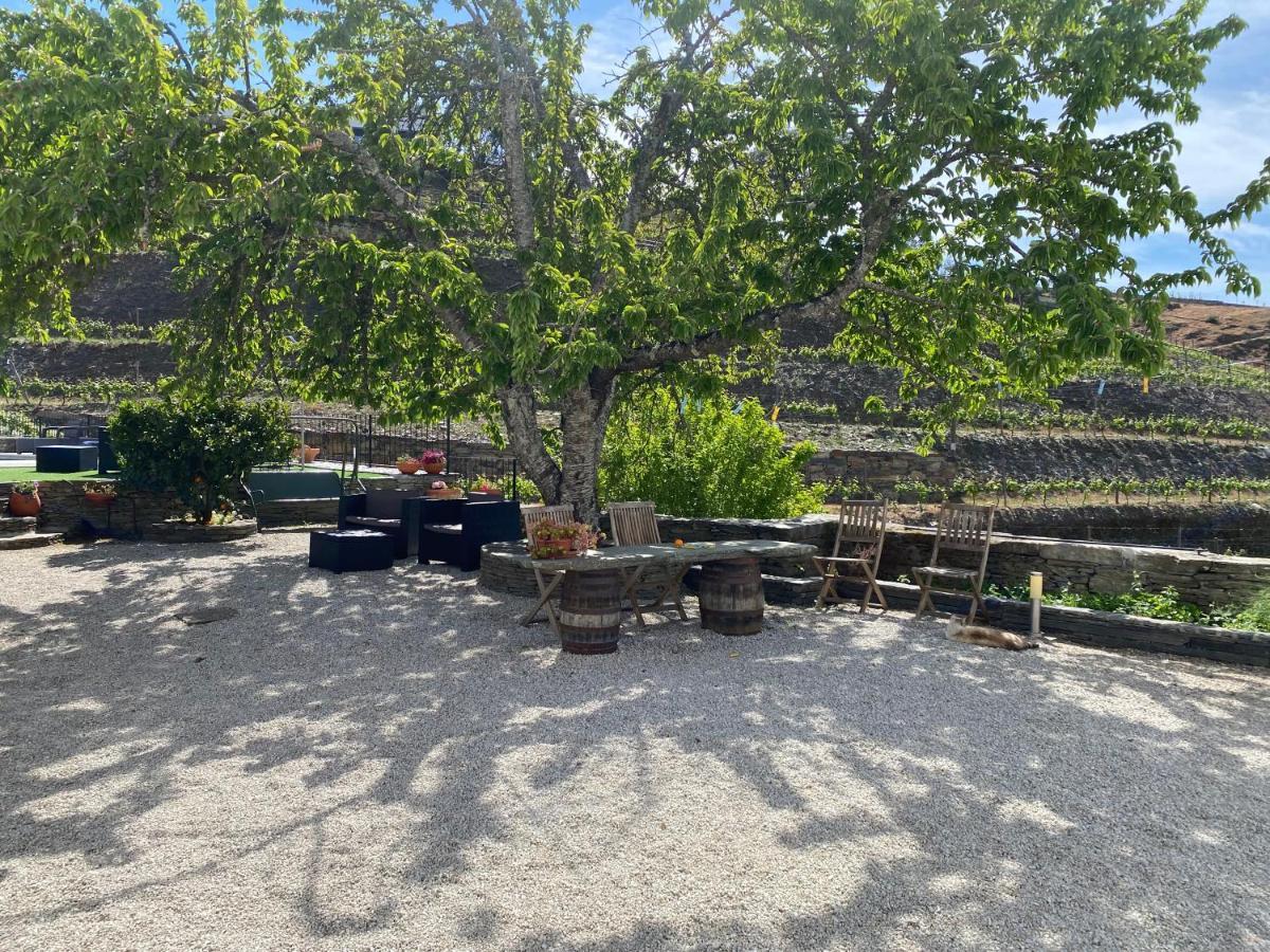 Quinta Da Casa Cimeira, Guest House, Wines & Food ヴァレンサ・ド・ドウロ エクステリア 写真