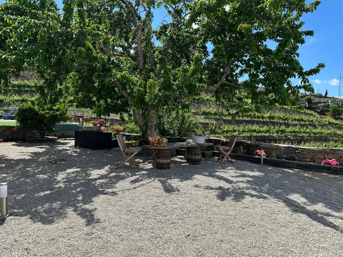 Quinta Da Casa Cimeira, Guest House, Wines & Food ヴァレンサ・ド・ドウロ エクステリア 写真