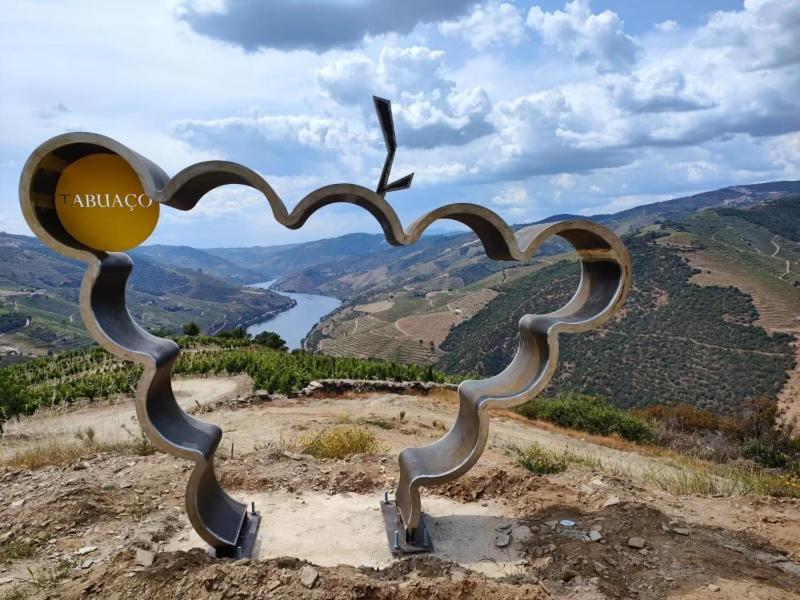Quinta Da Casa Cimeira, Guest House, Wines & Food ヴァレンサ・ド・ドウロ エクステリア 写真