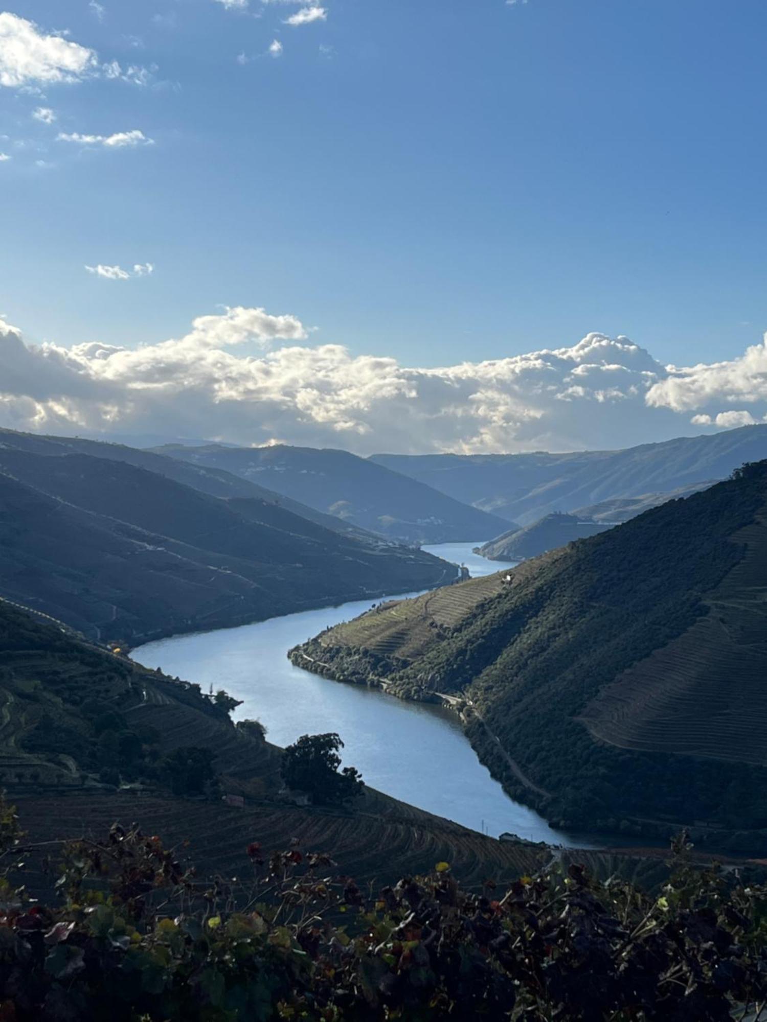 Quinta Da Casa Cimeira, Guest House, Wines & Food ヴァレンサ・ド・ドウロ エクステリア 写真
